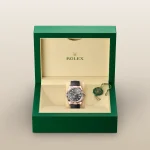Rolex Sky-Dweller Oyster, 42 mm, Everose gold - Image 5