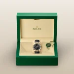 Rolex Sky-Dweller Oyster, 42 mm, yellow gold - Image 3
